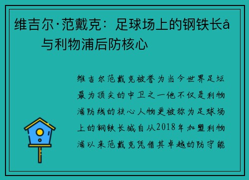 维吉尔·范戴克：足球场上的钢铁长城与利物浦后防核心